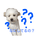 ソル君のスタンプ（個別スタンプ：1）