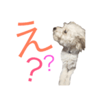 ソル君のスタンプ（個別スタンプ：2）
