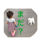 ソル君のスタンプ（個別スタンプ：6）