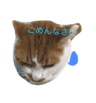 シシャモ姫の月曜日（個別スタンプ：1）
