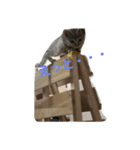 猫祭り2（個別スタンプ：5）