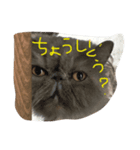 仕事仲間で（個別スタンプ：1）