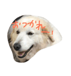 仕事仲間で（個別スタンプ：2）