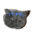 仕事仲間で（個別スタンプ：3）