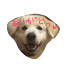 仕事仲間で（個別スタンプ：5）