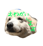 仕事仲間で（個別スタンプ：7）