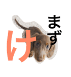秋田ベル（個別スタンプ：4）