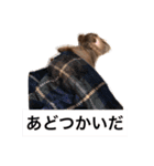 秋田ベル（個別スタンプ：18）