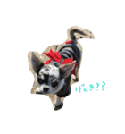 AILE and LUON sticker 2（個別スタンプ：2）