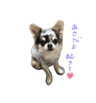 AILE and LUON sticker 2（個別スタンプ：4）
