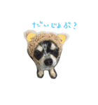 AILE and LUON sticker 2（個別スタンプ：7）