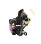 AILE and LUON sticker 2（個別スタンプ：8）