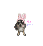 AILE and LUON sticker 2（個別スタンプ：11）