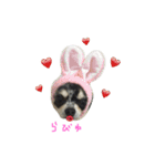 AILE and LUON sticker 2（個別スタンプ：12）