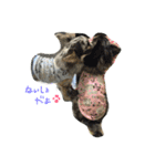 AILE and LUON sticker 2（個別スタンプ：14）