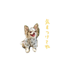 AILE and LUON sticker 2（個別スタンプ：18）