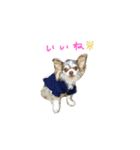 AILE and LUON sticker 2（個別スタンプ：21）