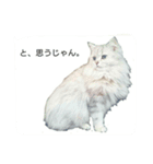 Vivi様（個別スタンプ：1）