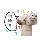 Vivi様（個別スタンプ：5）