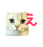 Vivi様（個別スタンプ：6）