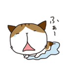 袋みーこさん（個別スタンプ：5）
