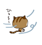 袋みーこさん（個別スタンプ：11）