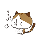 袋みーこさん（個別スタンプ：20）