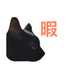 HANA  black cat（個別スタンプ：6）