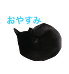 HANA  black cat（個別スタンプ：7）
