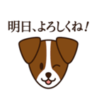 8犬種のわんこスタンプ（個別スタンプ：12）