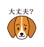 8犬種のわんこスタンプ（個別スタンプ：13）