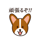 8犬種のわんこスタンプ（個別スタンプ：18）