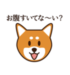 8犬種のわんこスタンプ（個別スタンプ：19）