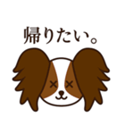 8犬種のわんこスタンプ（個別スタンプ：30）