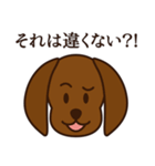 8犬種のわんこスタンプ（個別スタンプ：31）