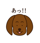 8犬種のわんこスタンプ（個別スタンプ：39）