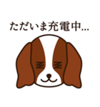 8犬種のわんこスタンプ（個別スタンプ：40）