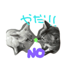 BengalCat Gin＆Cra part1（個別スタンプ：2）
