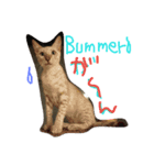 BengalCat Gin＆Cra part1（個別スタンプ：6）