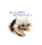 もこみみさん（個別スタンプ：2）