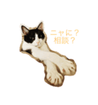 もこみみさん（個別スタンプ：3）
