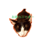 もこみみさん（個別スタンプ：6）