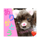 Showa dogs（個別スタンプ：13）