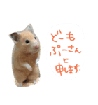 kinkumachan（個別スタンプ：3）