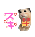 kinkumachan（個別スタンプ：5）