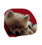 kintarohk（個別スタンプ：2）