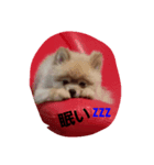 kintarohk（個別スタンプ：3）