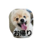 kintarohk（個別スタンプ：7）