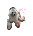日常02（個別スタンプ：1）