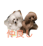 日常02（個別スタンプ：2）